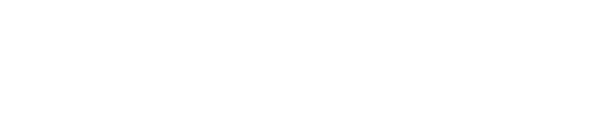 Logo magna